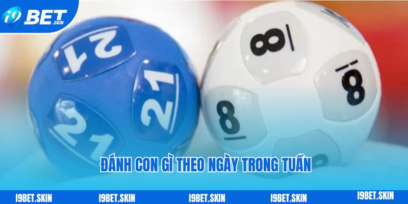 Xác định đề về 08 hôm sau đánh con gì theo ngày trong tuần