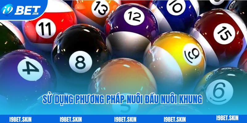Sử dụng phương pháp nuôi đầu nuôi khung 3 ngày khi đề về 18
